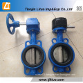 Butterfly Valve/Cast Iron Ductile Iron Butterfly Valve